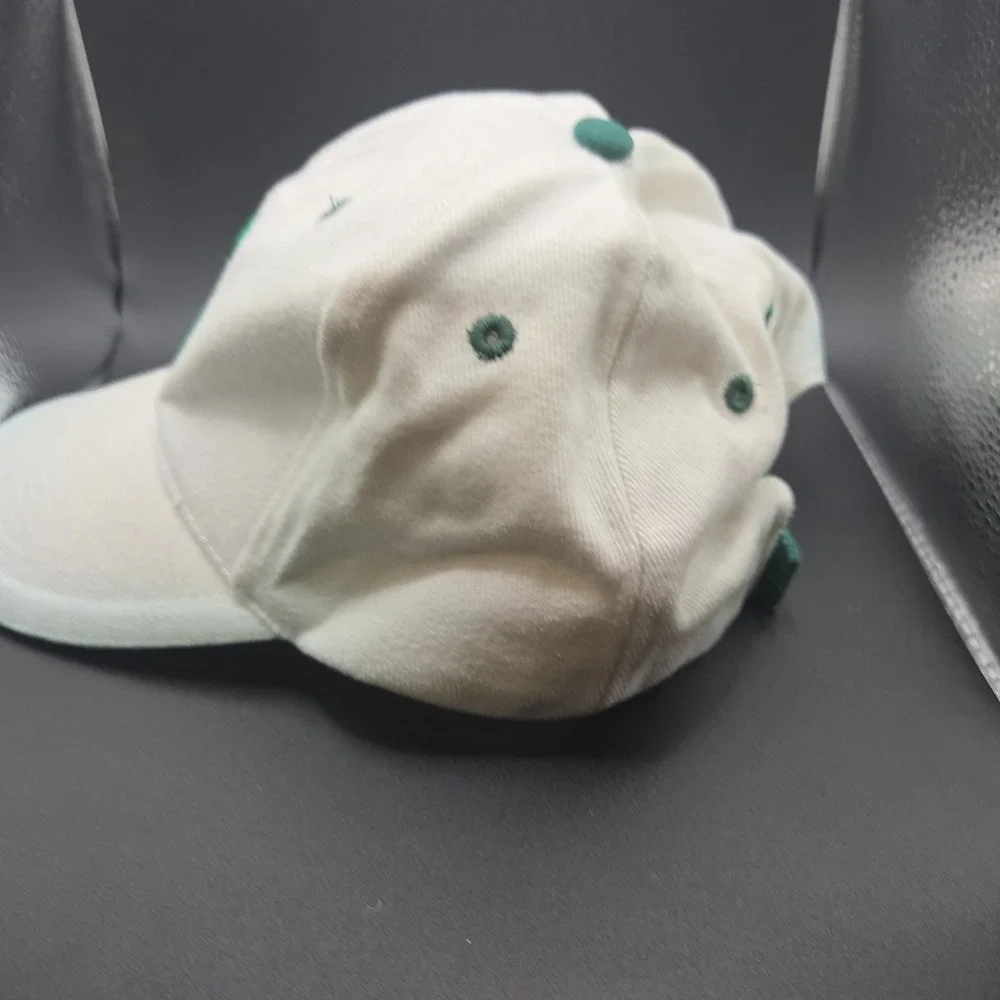 Donegal Bay Michigan State Spartans NCAA Baseball Hat Adult White Green Vintage